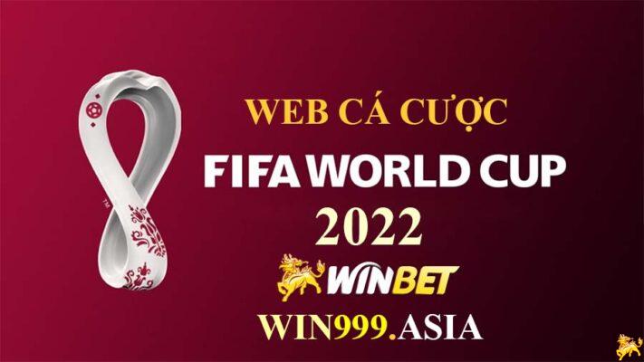 cá cược World Cup 2022
