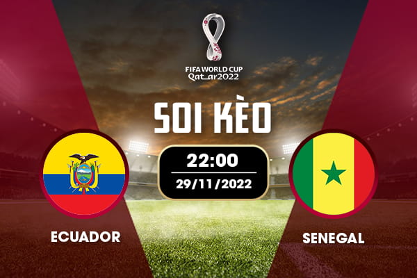 Soi kèo trận Ecuador - Senegal, 22:00, ngày 29/11/2022